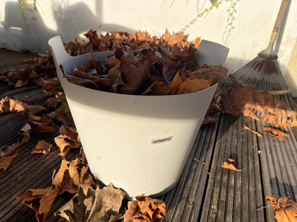 Herbstzeit, die Wohnung für die kalte Jahreszeit herrichten – Ideen