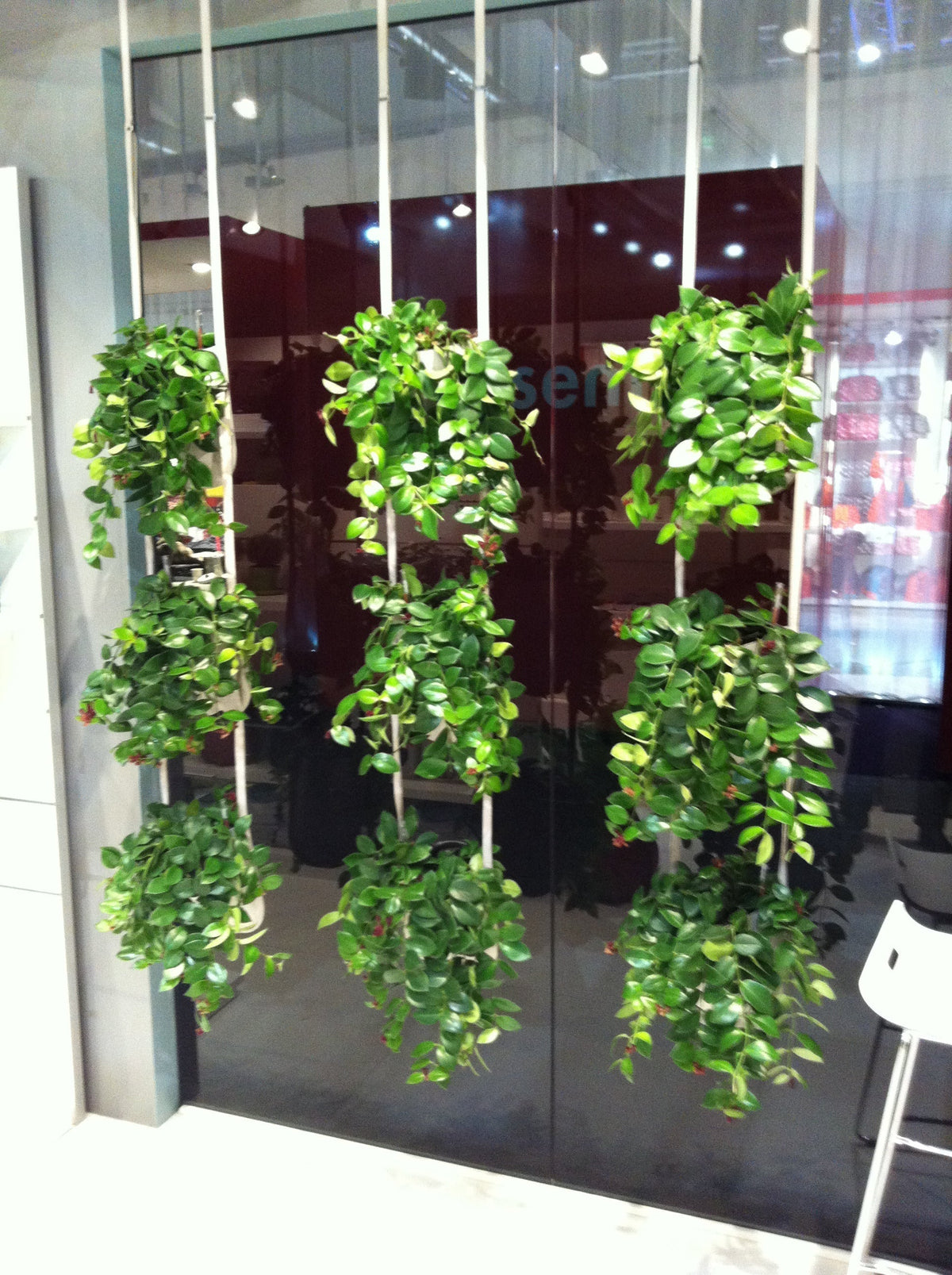 Wie Urban Garden Pflanztaschen für bessere Luft im Büro sorgen