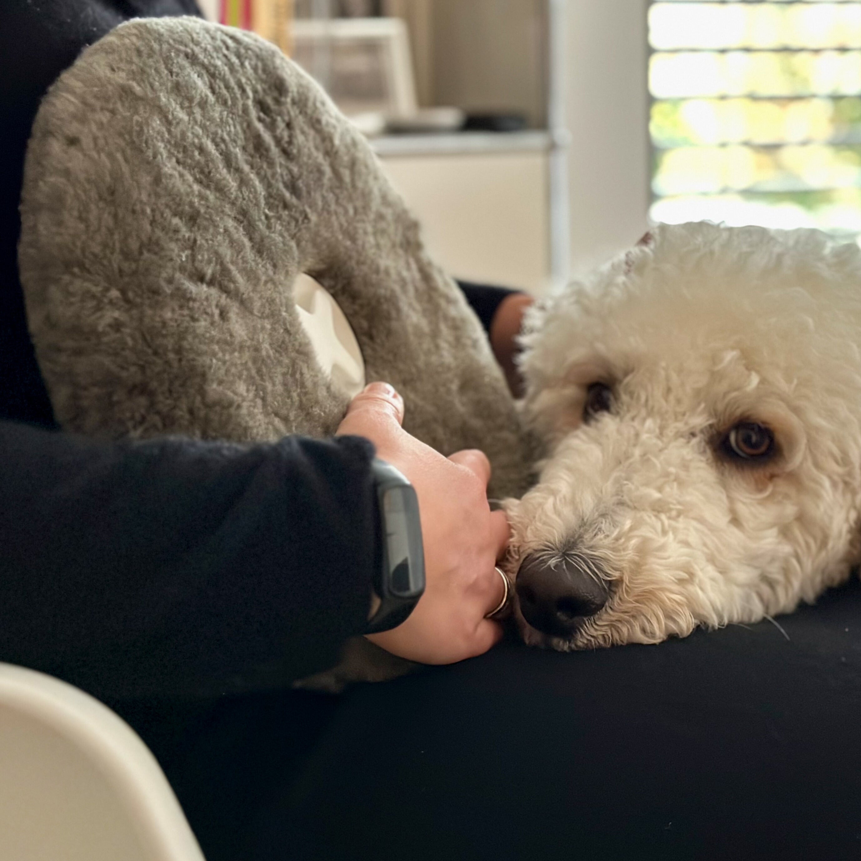 PILL WÄRMFLASCHE  SCHAFFELL