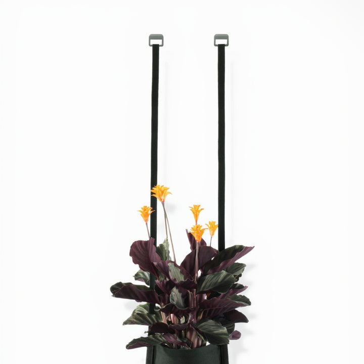 URBAN GARDEN Deckenhaken 2er Set